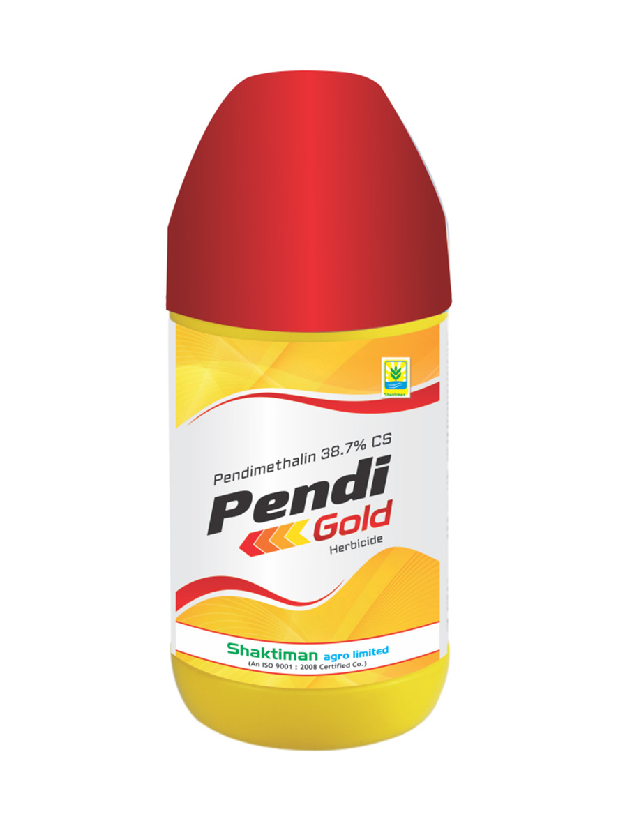 Pendi-Gold